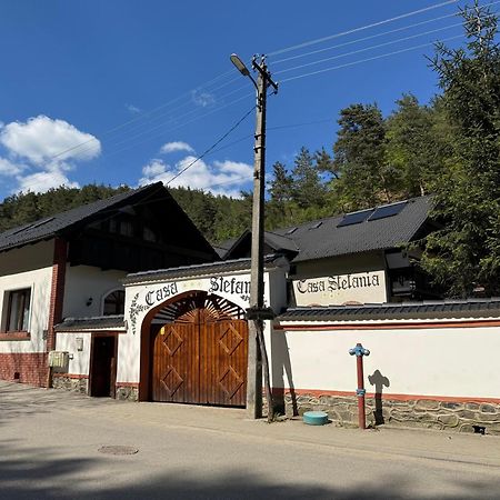 Casa Stefania Ξενοδοχείο Tălmaciu Εξωτερικό φωτογραφία