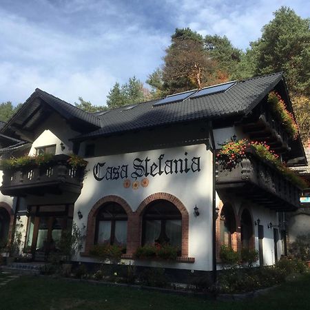 Casa Stefania Ξενοδοχείο Tălmaciu Εξωτερικό φωτογραφία