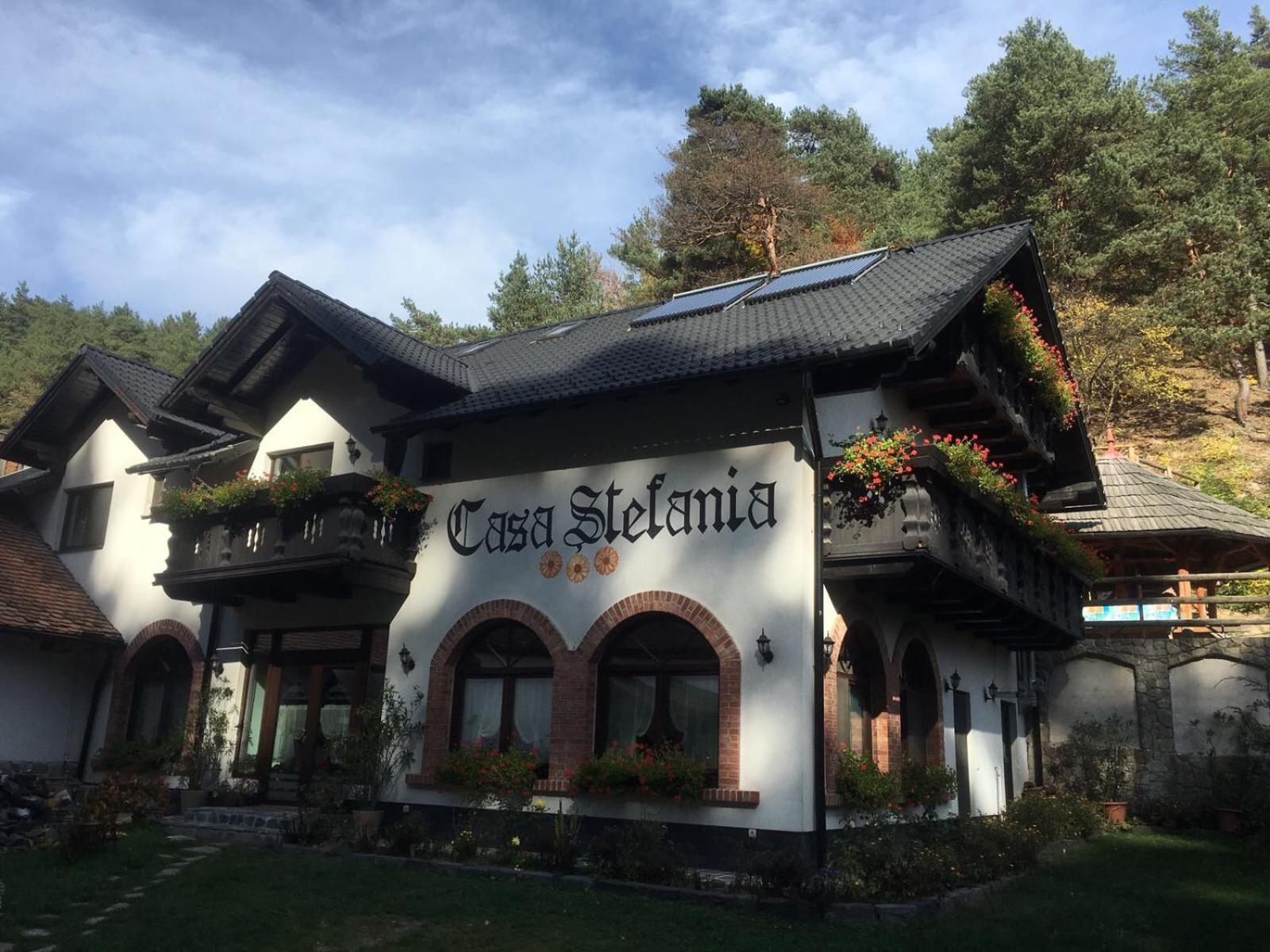 Casa Stefania Ξενοδοχείο Tălmaciu Εξωτερικό φωτογραφία