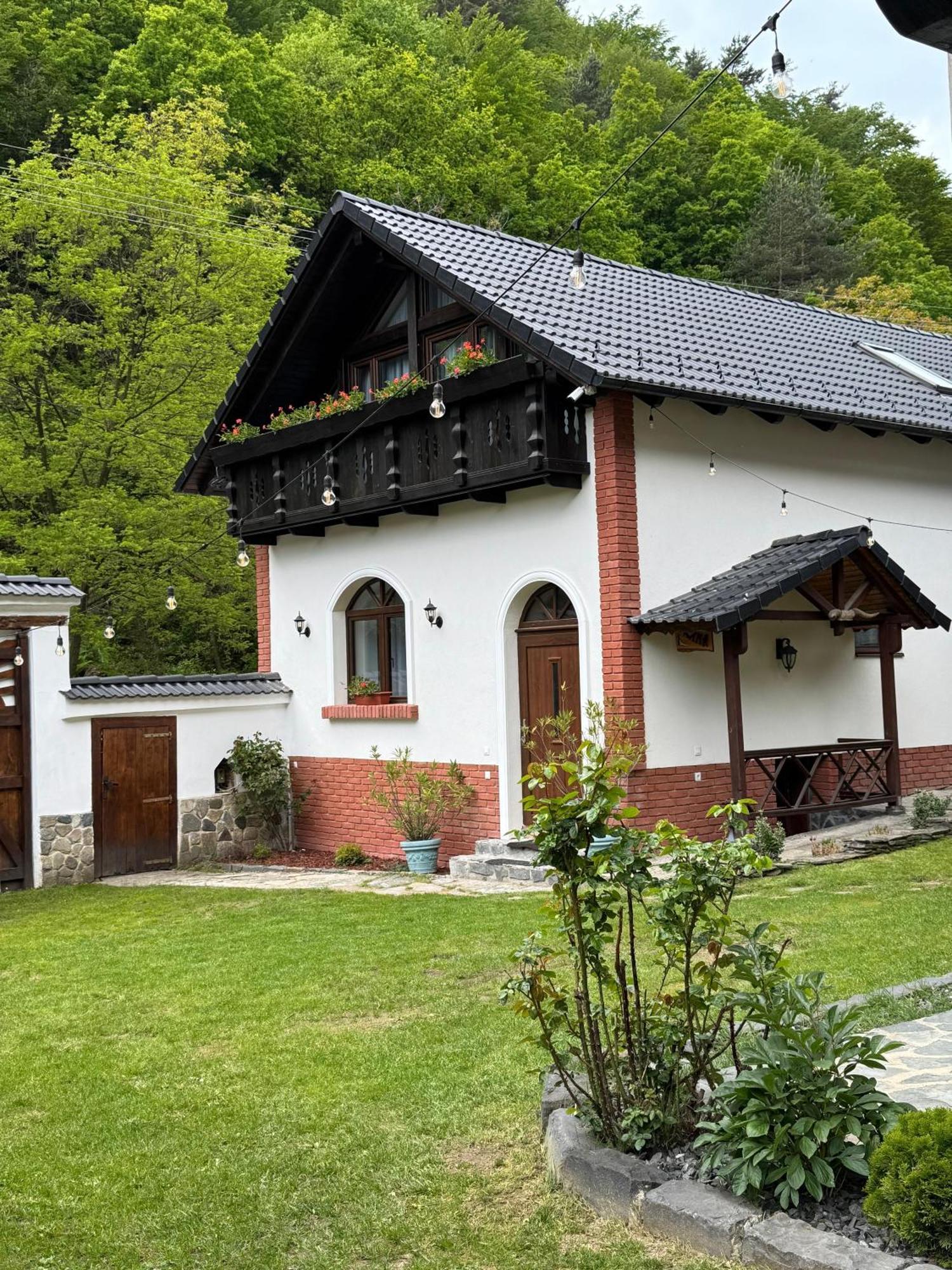 Casa Stefania Ξενοδοχείο Tălmaciu Εξωτερικό φωτογραφία