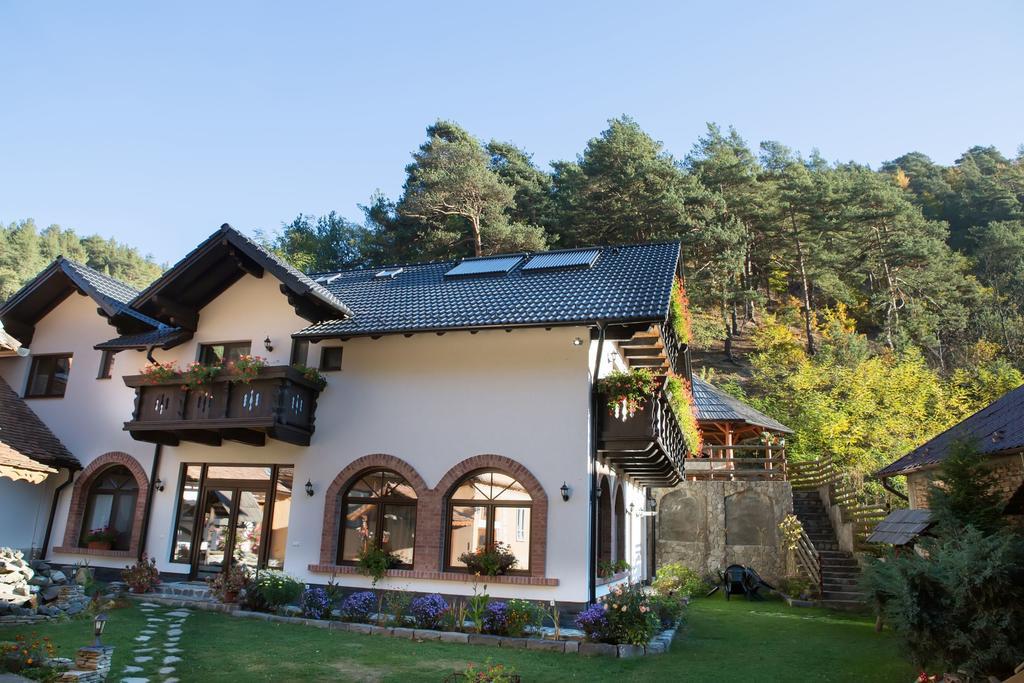 Casa Stefania Ξενοδοχείο Tălmaciu Εξωτερικό φωτογραφία