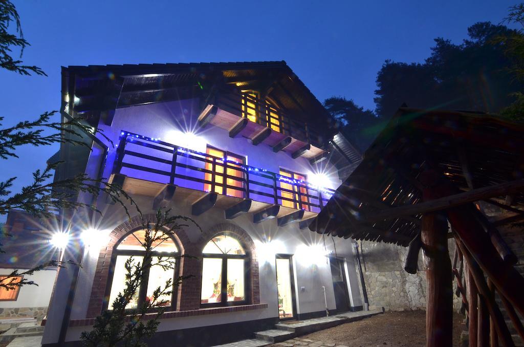 Casa Stefania Ξενοδοχείο Tălmaciu Εξωτερικό φωτογραφία