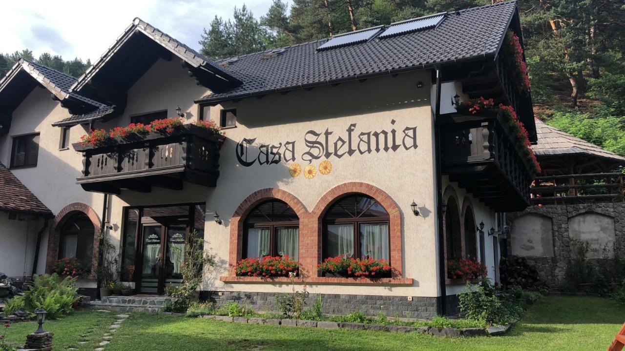 Casa Stefania Ξενοδοχείο Tălmaciu Εξωτερικό φωτογραφία