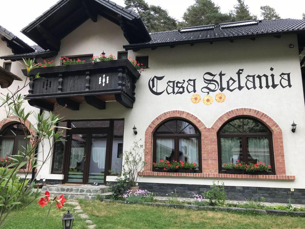 Casa Stefania Ξενοδοχείο Tălmaciu Εξωτερικό φωτογραφία