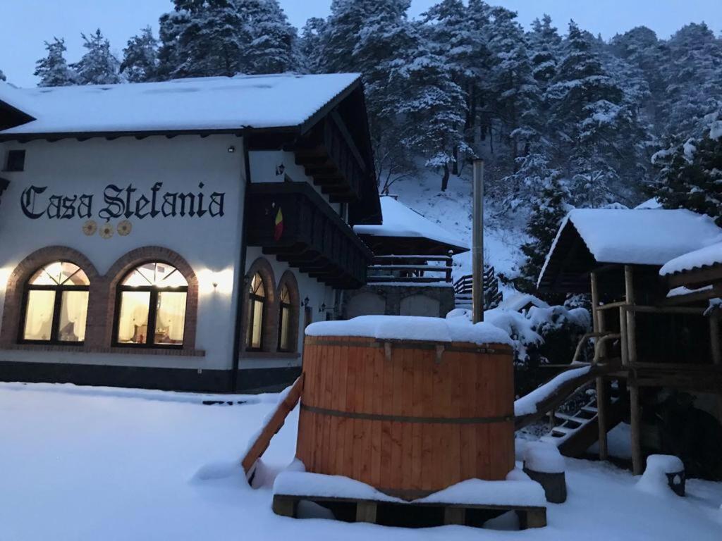 Casa Stefania Ξενοδοχείο Tălmaciu Εξωτερικό φωτογραφία