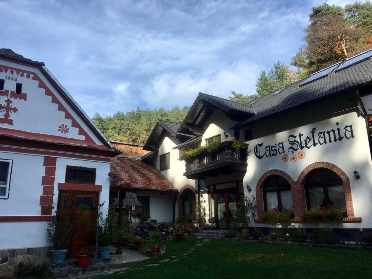 Casa Stefania Ξενοδοχείο Tălmaciu Εξωτερικό φωτογραφία