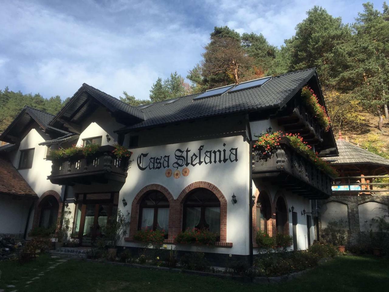Casa Stefania Ξενοδοχείο Tălmaciu Εξωτερικό φωτογραφία